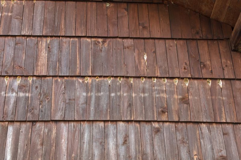 Woodpecker Hole Remediation